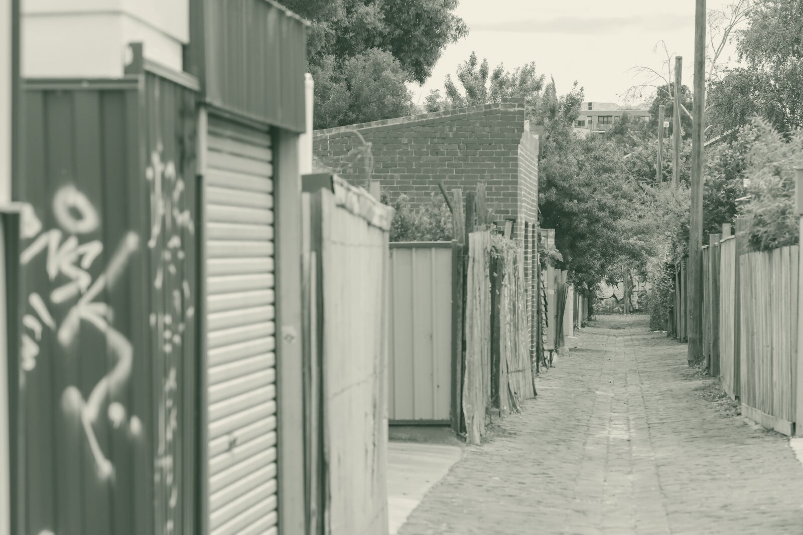 pathway between house