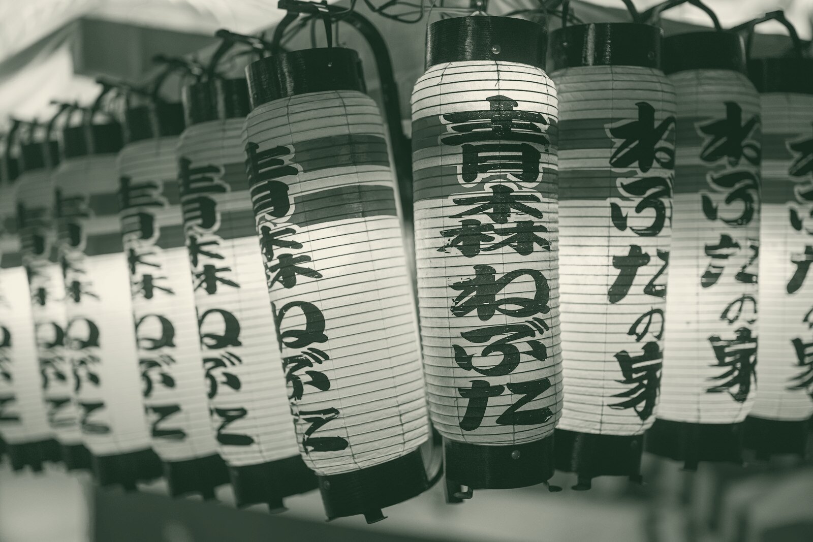 A row of illuminated japanese paper lanterns with black calligraphy